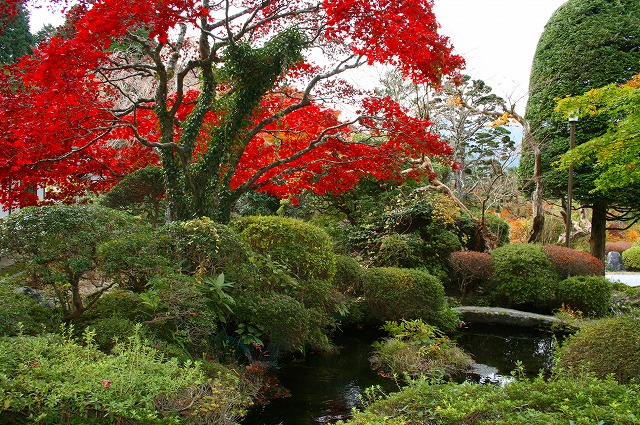 仙郷楼の庭園_夏001